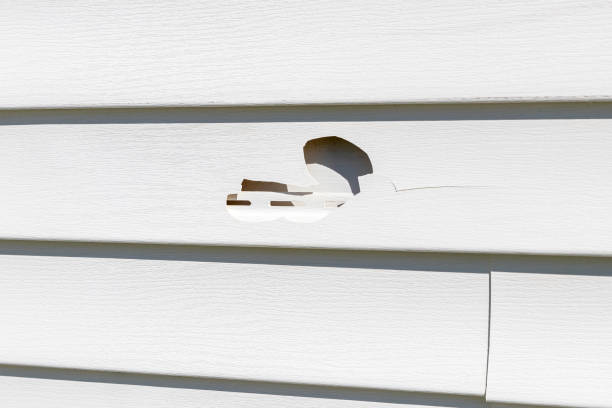 Best Hoarding Cleanup  in Burke, VA