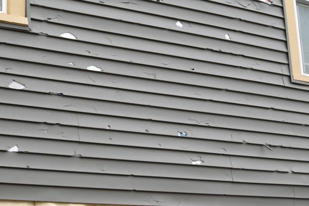 Best Recycling Services for Junk  in Burke, VA